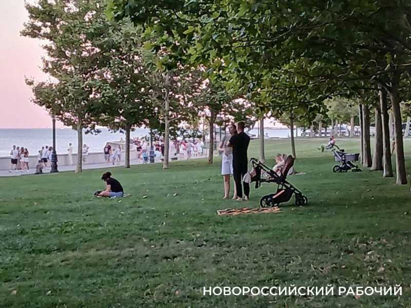 На набережной Новороссийска устраивают пикники и собачьи тусовки