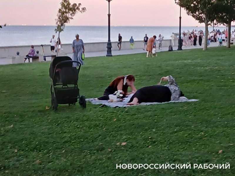 На набережной Новороссийска устраивают пикники и собачьи тусовки