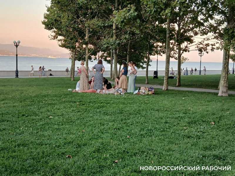 На набережной Новороссийска устраивают пикники и собачьи тусовки