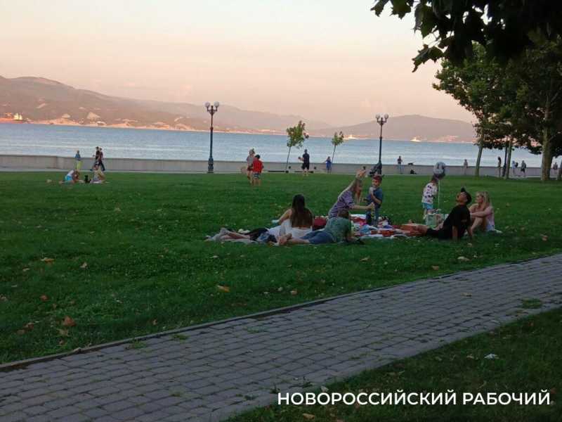 На набережной Новороссийска устраивают пикники и собачьи тусовки