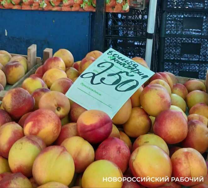На рынке Новороссийска появился &laquo;бомба&raquo; &mdash; нектарин и аджика &laquo;неповторимая&raquo;