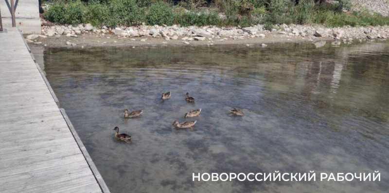 Неужели озеро Абрау в Новороссийске готовится показать свое дно?