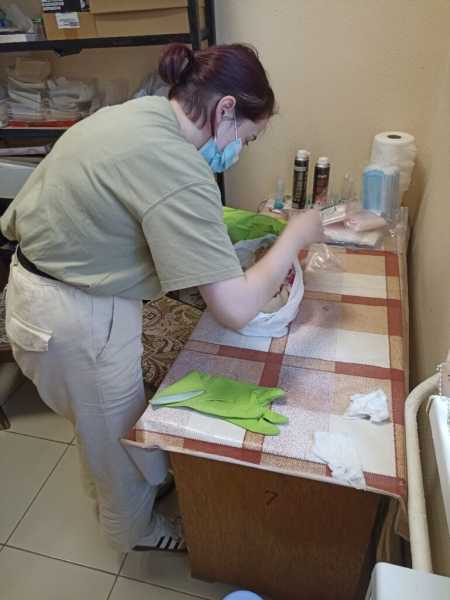 Останки из могильника Дюрсо под Новороссийском отправили на экспертизу в &laquo;Сириус&raquo;