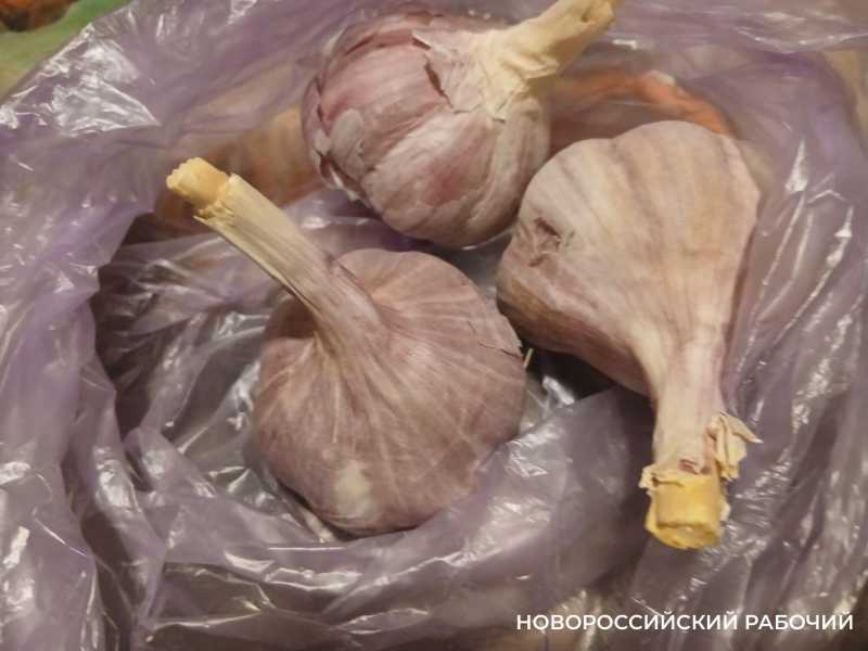 Пастернак, лук и чеснок – самые дорогие овощи на рынке Новороссийска