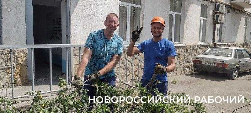 Пекло, а они работают! В Новороссийске горожан спасают от змей и небывалого урожая &nbsp;