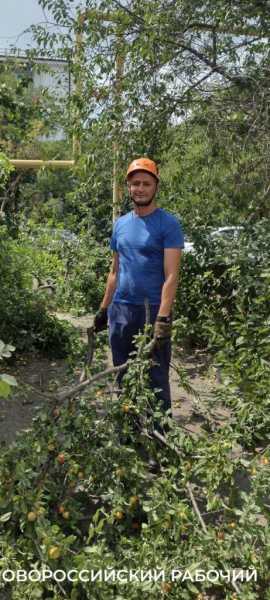 Пекло, а они работают! В Новороссийске горожан спасают от змей и небывалого урожая &nbsp;