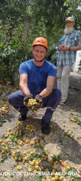 Пекло, а они работают! В Новороссийске горожан спасают от змей и небывалого урожая &nbsp;