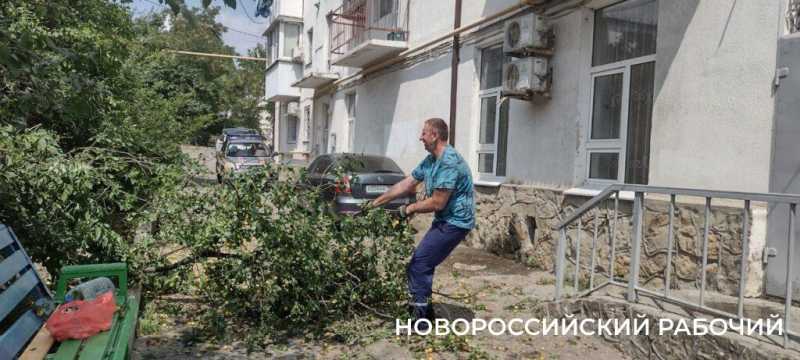 Пекло, а они работают! В Новороссийске горожан спасают от змей и небывалого урожая &nbsp;
