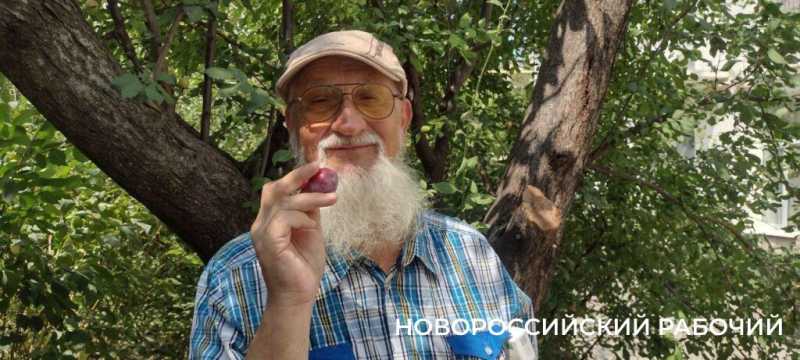 Пекло, а они работают! В Новороссийске горожан спасают от змей и небывалого урожая &nbsp;