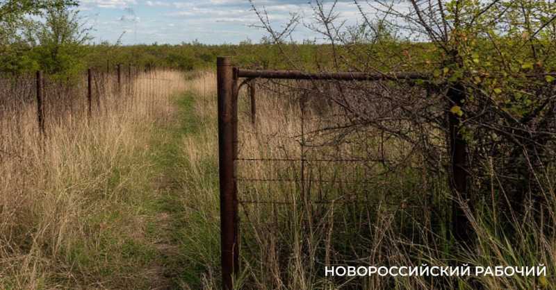 Почему новороссийцы присматриваются к пустым участкам