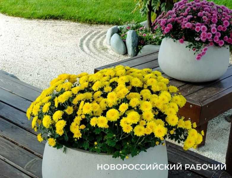 Советы дня на 26 августа: о летучих мышах, правах гражданина и дальнобойщиках