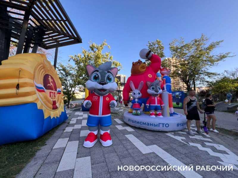Стояли на голове, боролись с рыцарями. В Новороссийске прошел День физкультурника