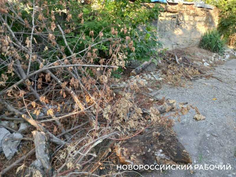 Страшные откровения водителя, насмерть сбившего мужчину в районе новороссийского элеватора