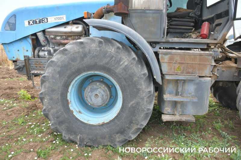 В Новороссийске крестьянин по жизни выращивает пшеницу