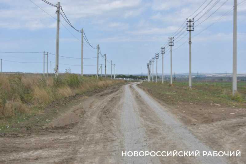 В Новороссийске крестьянин по жизни выращивает пшеницу