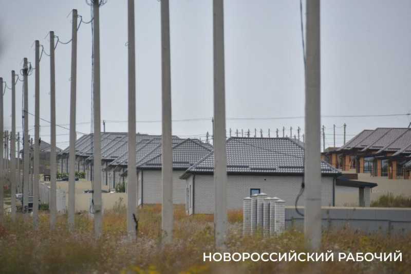 В Новороссийске крестьянин по жизни выращивает пшеницу