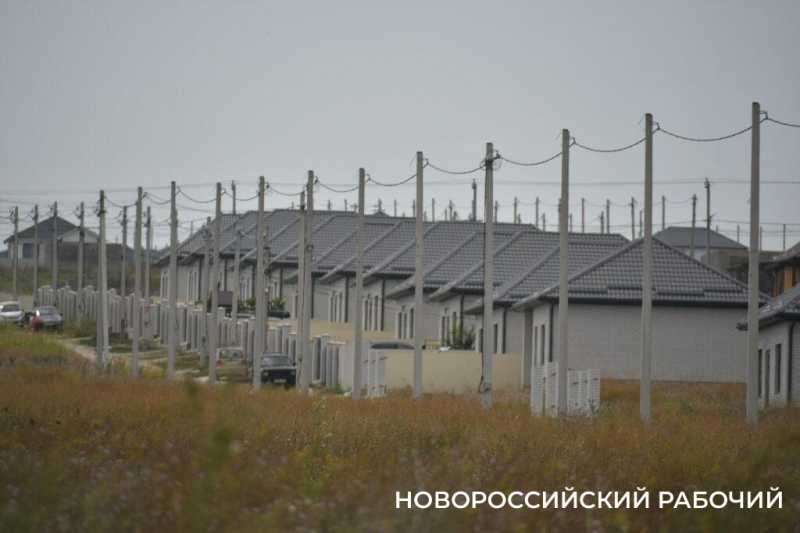В Новороссийске крестьянин по жизни выращивает пшеницу