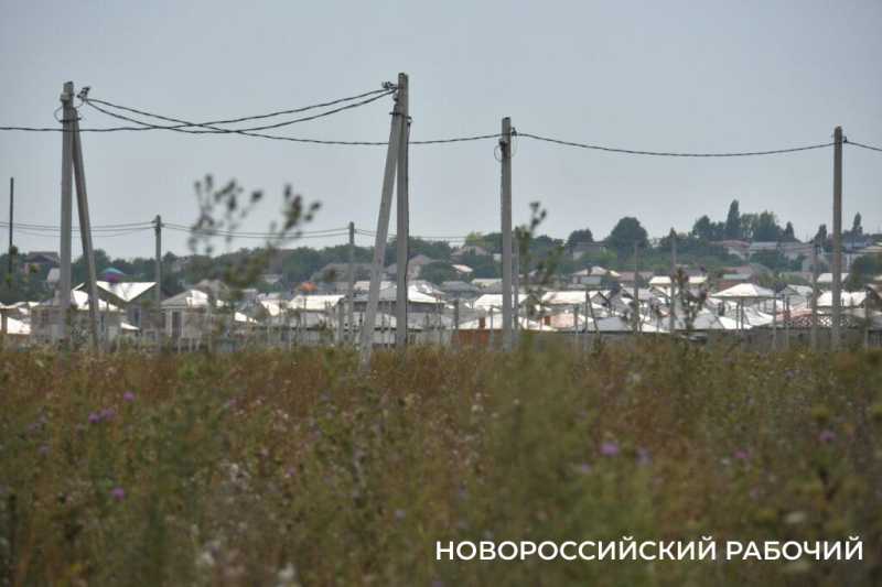 В Новороссийске крестьянин по жизни выращивает пшеницу