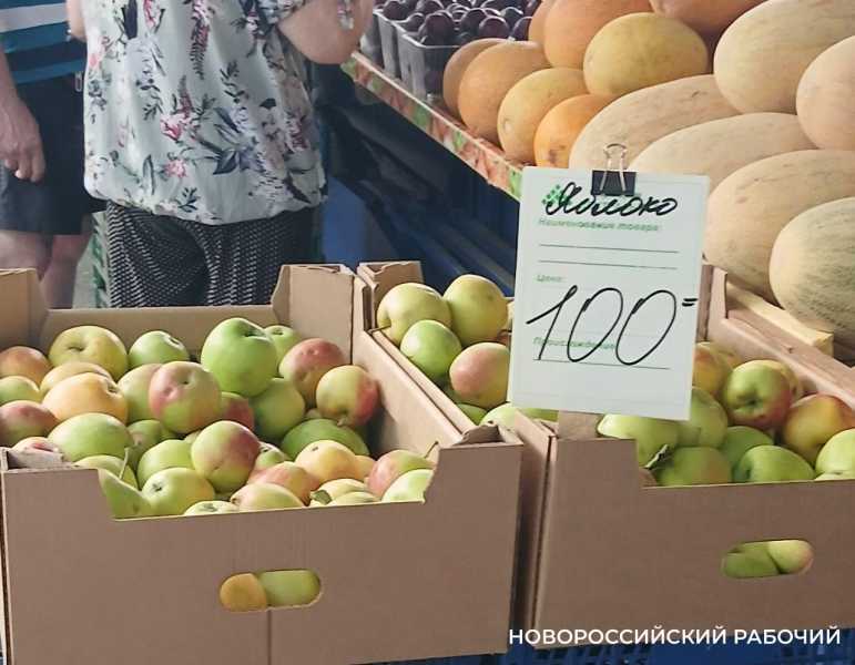 В Новороссийске не снижаются цены на яблоки нового урожая