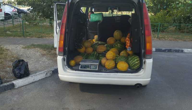 В Новороссийске с начала года составлено 126 протоколов по выявленным фактам несанкционированной торговли