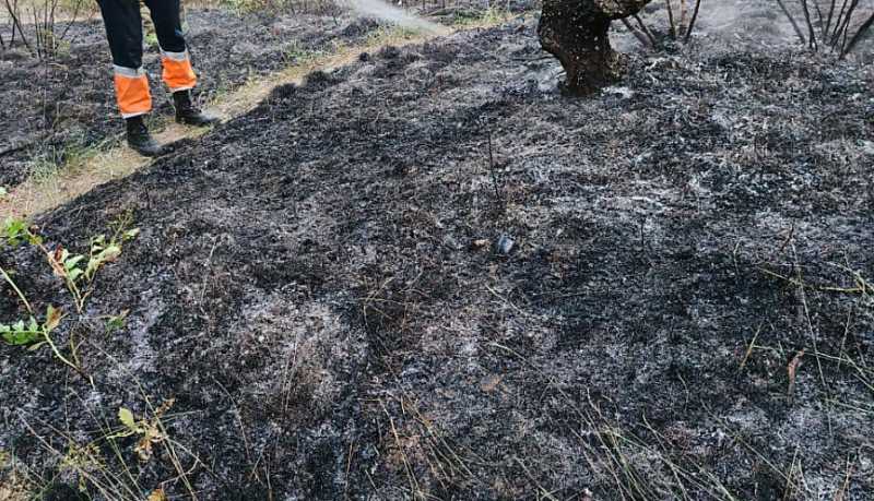 В Новороссийске установлен III класс пожароопасности