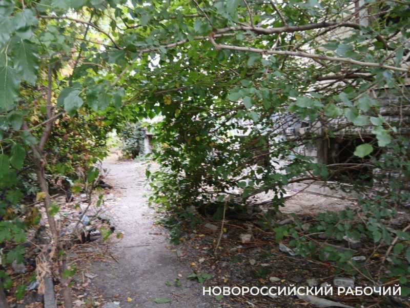 В Новороссийске ждет реставрации заброшка, где век назад прошла премьера оперы