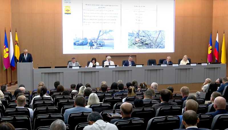 Валка, обрезка и кронирование деревьев стали одной из тем обсуждений на аппаратном совещании в администрации Новороссийска