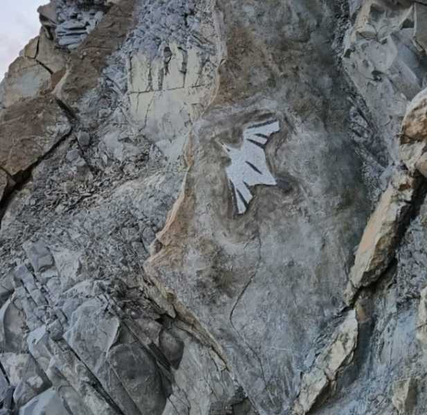 Автор из Новороссийска изобрела новый жанр литературы — ритм-роман