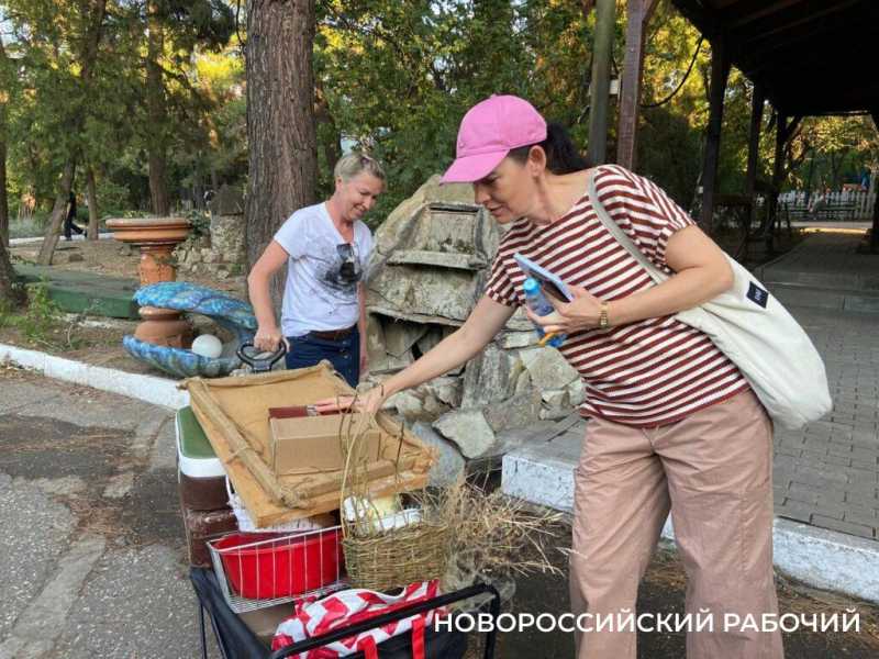 Часть парка Ленина в Новороссийске отдали под арт-пространство