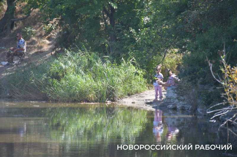 Южные пруды в Новороссийске могут превратиться в непролазные болота