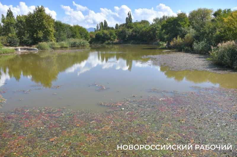Южные пруды в Новороссийске могут превратиться в непролазные болота