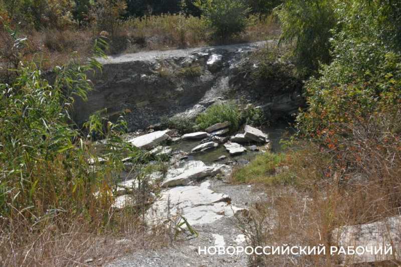 Южные пруды в Новороссийске могут превратиться в непролазные болота