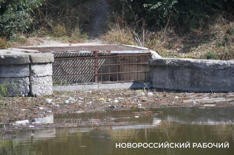 Южные пруды в Новороссийске могут превратиться в непролазные болота