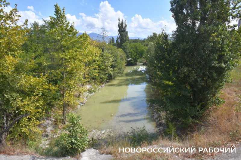 Южные пруды в Новороссийске могут превратиться в непролазные болота