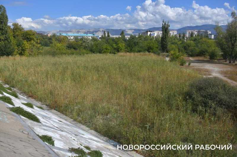 Южные пруды в Новороссийске могут превратиться в непролазные болота
