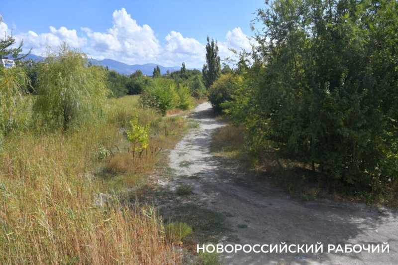 Южные пруды в Новороссийске могут превратиться в непролазные болота