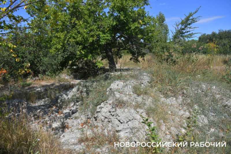 Южные пруды в Новороссийске могут превратиться в непролазные болота