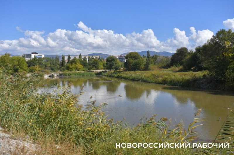 Южные пруды в Новороссийске могут превратиться в непролазные болота