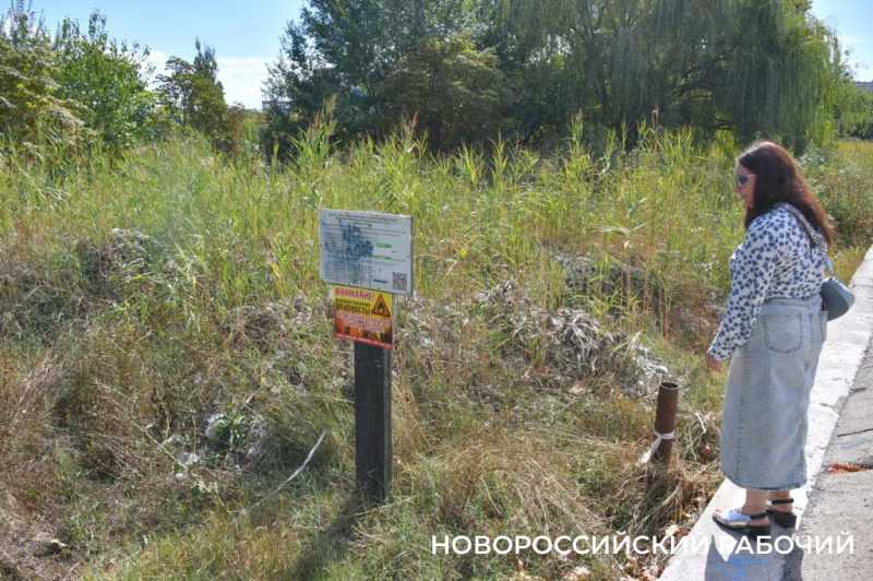 Южные пруды в Новороссийске могут превратиться в непролазные болота