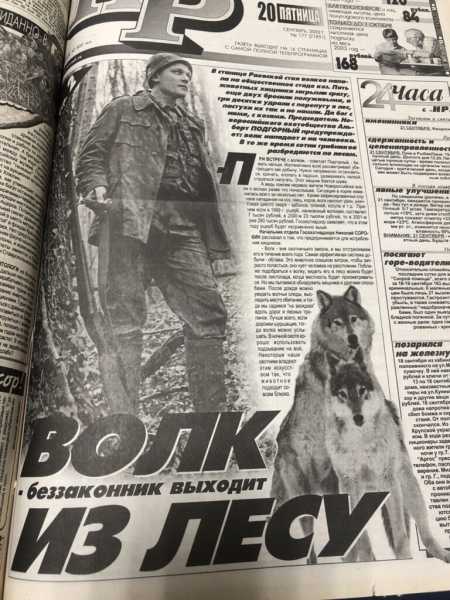 Как в Новороссийске защищались от волков, наказывали уклонистов и перевоспитывали пьяниц