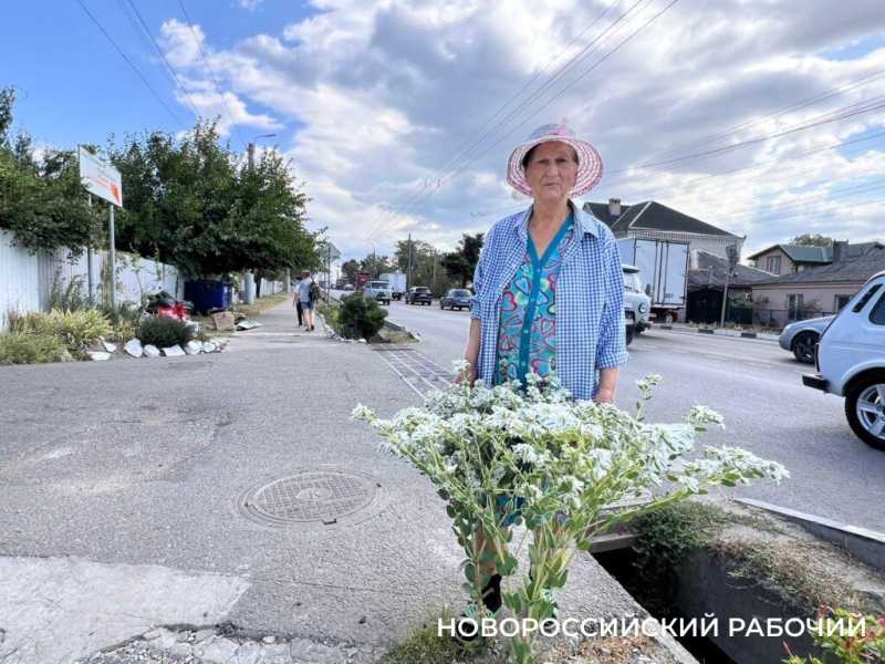 На улице Новороссийска пенсионерка «вырастила» каменные цветы