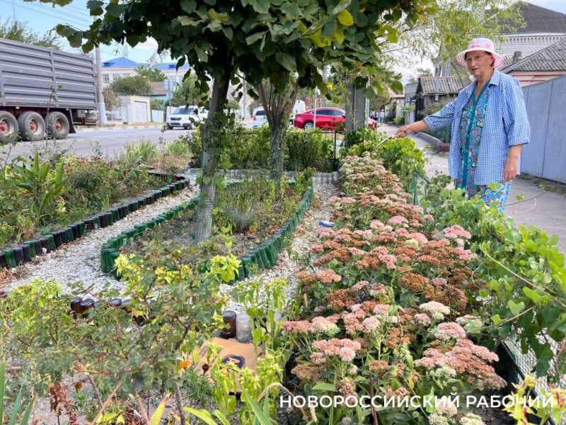 На улице Новороссийска пенсионерка «вырастила» каменные цветы