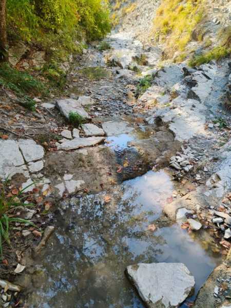 Ничего страшного. В Новороссийске экологи обследовали грязную воду Луначарских водопадов