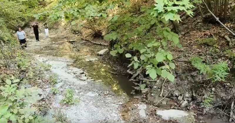 Ничего страшного. В Новороссийске экологи обследовали грязную воду Луначарских водопадов