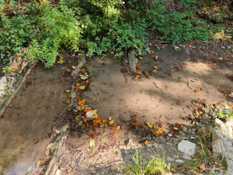 Ничего страшного. В Новороссийске экологи обследовали грязную воду Луначарских водопадов