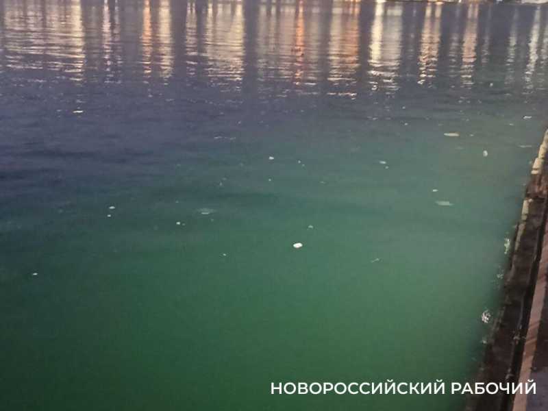 Ночная романтика Западного мола в Новороссийске. У кого-то мечты сбываются!