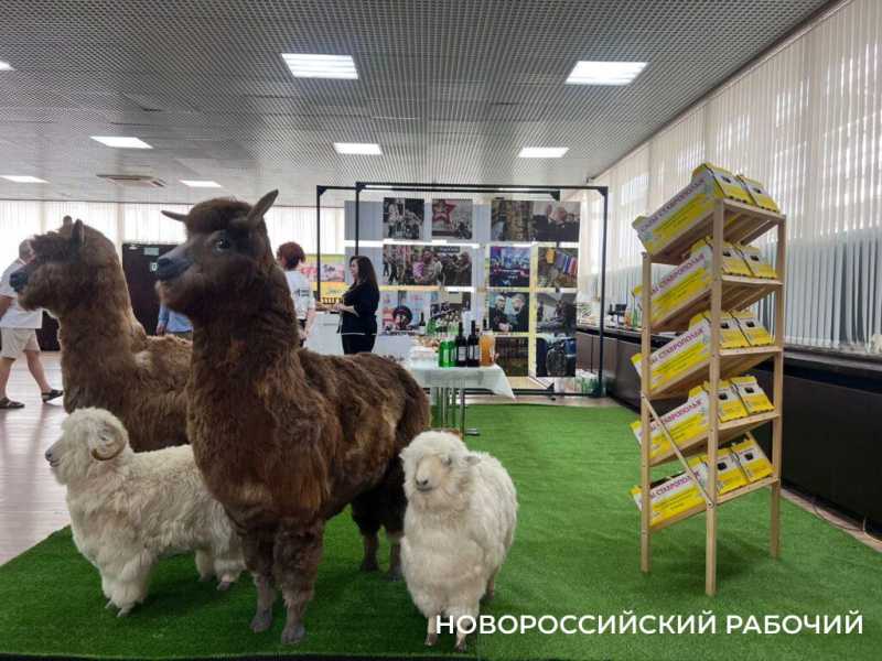 &laquo;Новороссийский рабочий&raquo; на Всероссийском форуме &laquo;Вся Россия -2025&raquo;