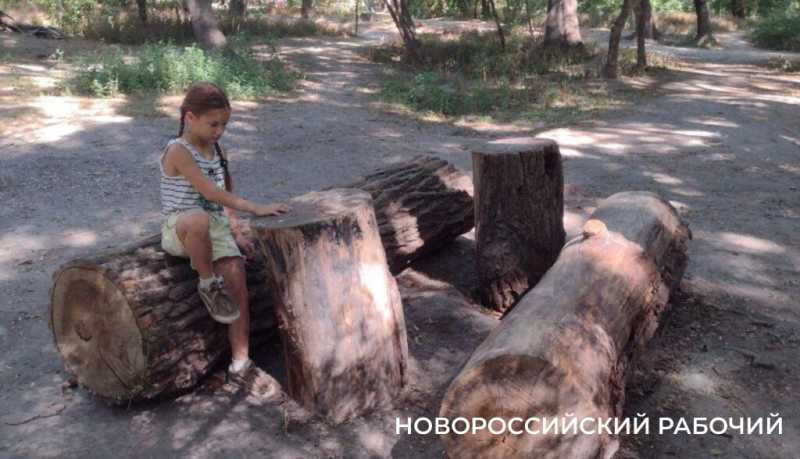 Пионерская роща в Новороссийске зовет гулять и дарит теплые воспоминания          