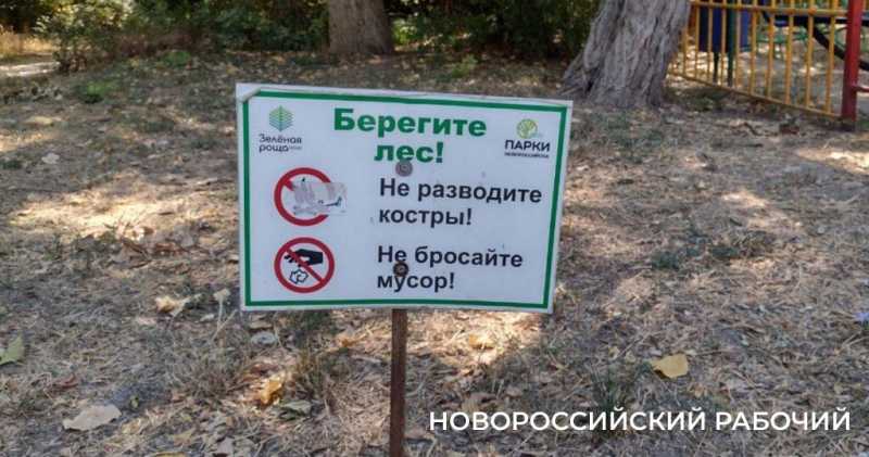Пионерская роща в Новороссийске зовет гулять и дарит теплые воспоминания          