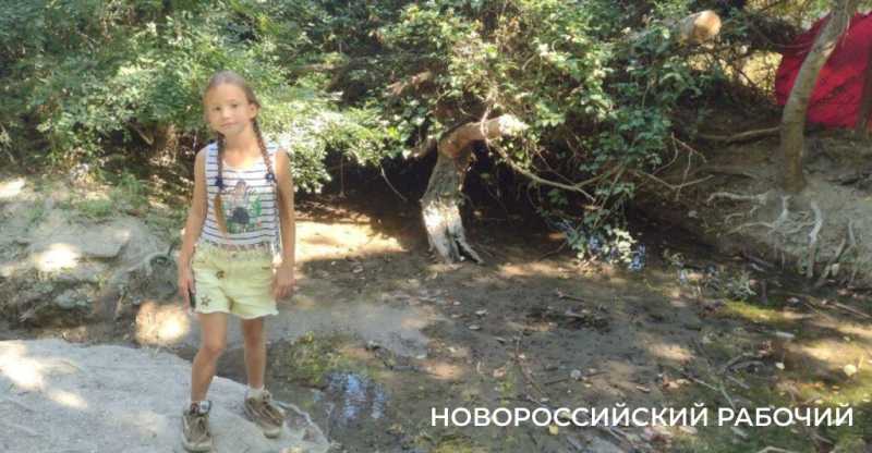 Пионерская роща в Новороссийске зовет гулять и дарит теплые воспоминания          